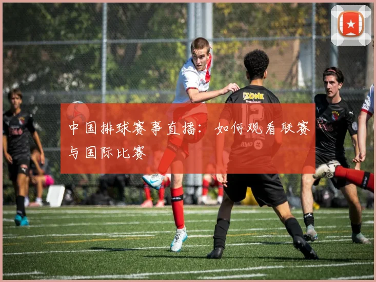 中国排球赛事直播:如何观看联赛与国际比赛
